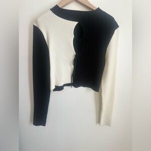 Zara Black and White Contrast Crop Top
